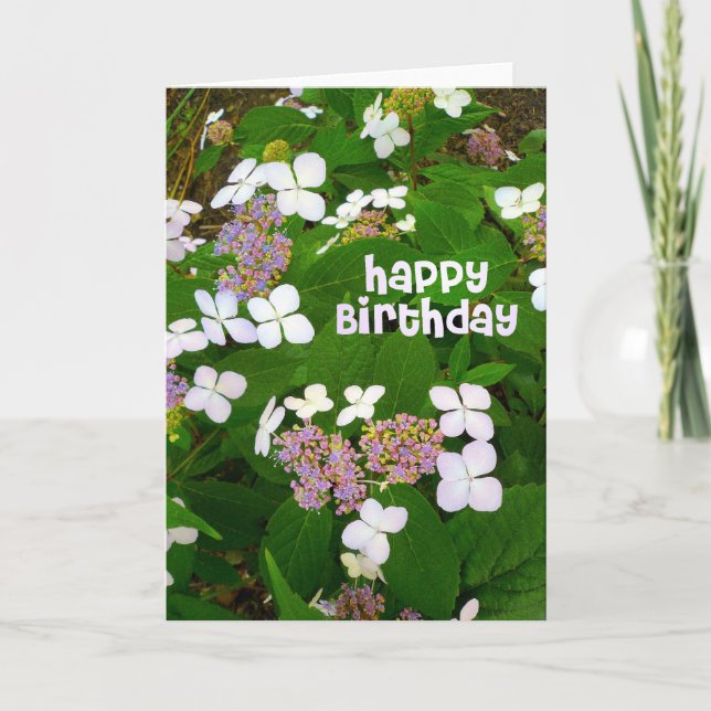Carte Anniversaire d'Hortensia Aspera (Devant)