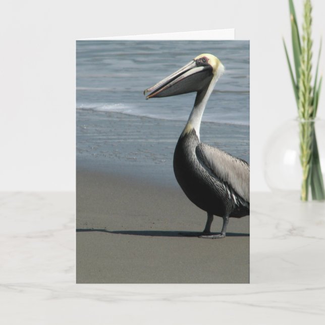 Carte Anniversaire d'Incredi-Bill (Devant)