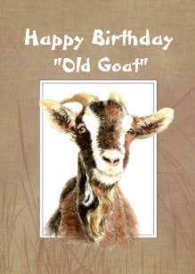 Cartes Chevre D Anniversaire Zazzle Fr