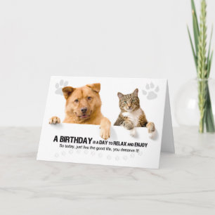 Carte Anniversaire Drôle Chat et Chien sur Blanc pour l'