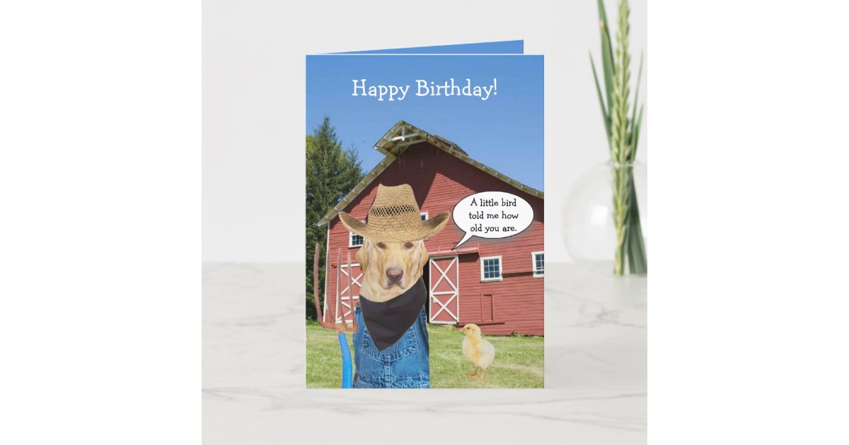 Carte Anniversaire Drole D Agriculteur De Laboratoire Zazzle Fr