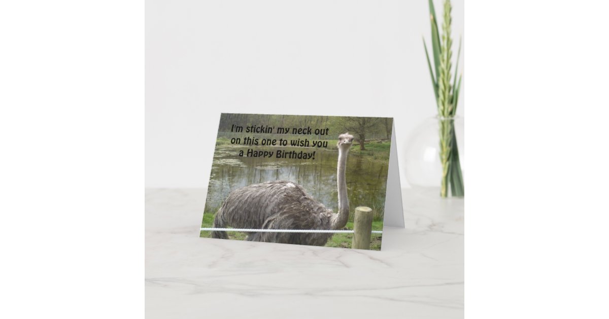 Carte Anniversaire Drole D Autruche Zazzle Fr