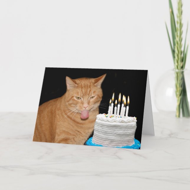 Carte Anniversaire drôle de chat (Devant)