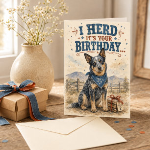 Carte Anniversaire drôle de chien de troupeau australien