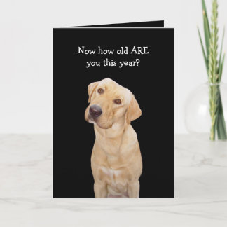 Carte Anniversaire drôle de chien/laboratoire