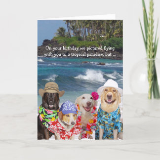 Carte Anniversaire drôle de chiens pour n'importe qui