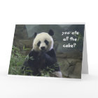 Anniversaire drôle de panda, aucun gâteau ?