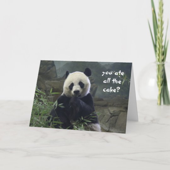 Carte Anniversaire Drole De Panda Aucun Gateau Zazzle Fr