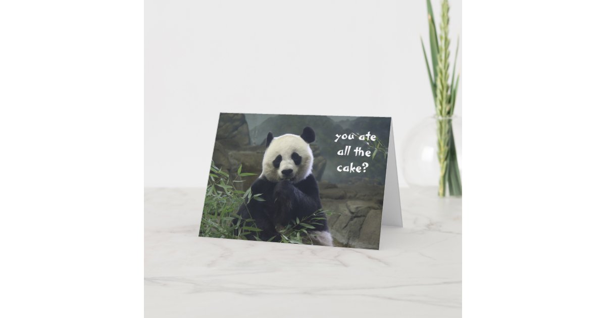 Carte Anniversaire Drole De Panda Aucun Gateau Zazzle Fr