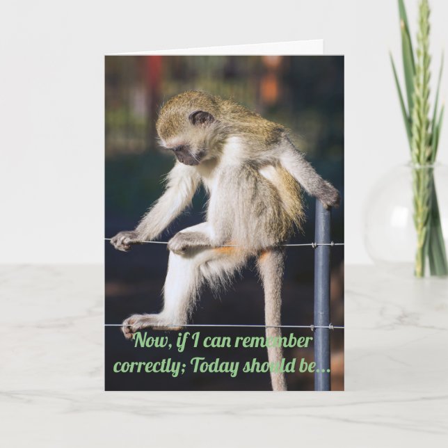 Carte Anniversaire drôle de singe (Devant)