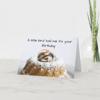 Carte Anniversaire drôle d'oiseau