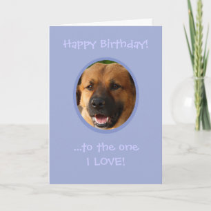 Carte Anniversaire drôle du chien au propriétaire avec a