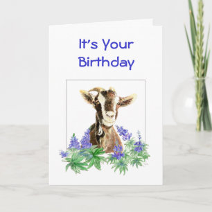 Carte Anniversaire drôle, fleurs de l'Humour de la Viell