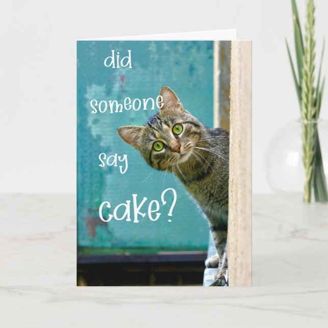 Carte Anniversaire Du Chat, Drôle, Quelqu'Un A Dit Cake (Devant)