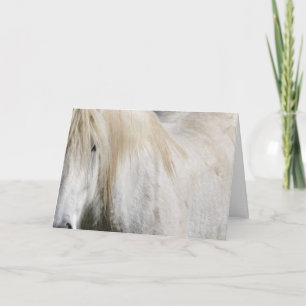 Carte Anniversaire du cheval blanc