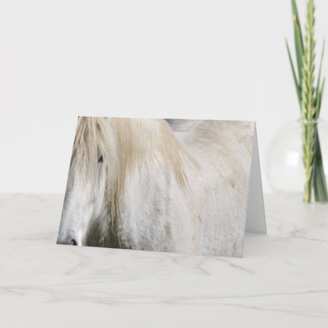 Carte Anniversaire du cheval blanc (Devant)
