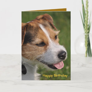 Carte Anniversaire du chien