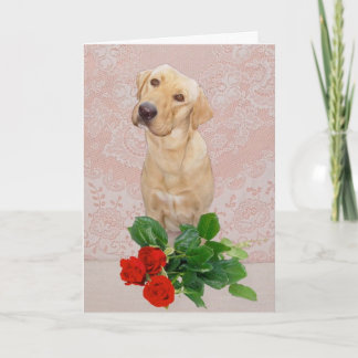 Carte Anniversaire du chien mou