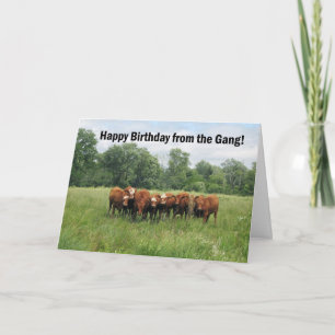 Carte Anniversaire du groupe