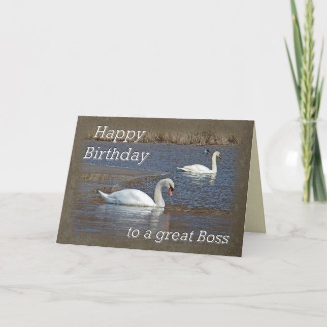 Carte Anniversaire du patron - Cygne muet sur étang d'hi (Devant)