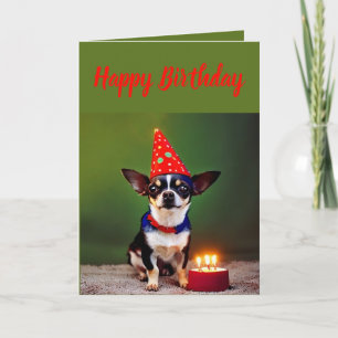 Carte Anniversaire du Petit Chihuahua