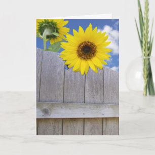 Carte Anniversaire du tournesol
