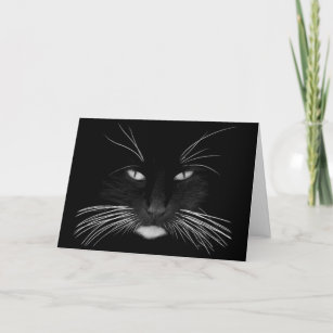 Cartes Noir Et Blanc Chat D Anniversaire Zazzle Fr