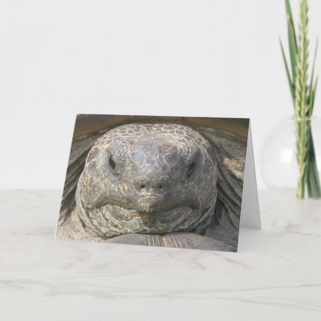 Carte Anniversaire en retard (Devant)