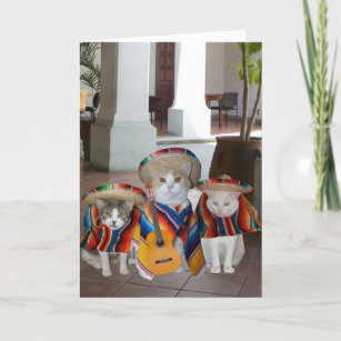 Cartes Espagnol D Anniversaire Zazzle Fr