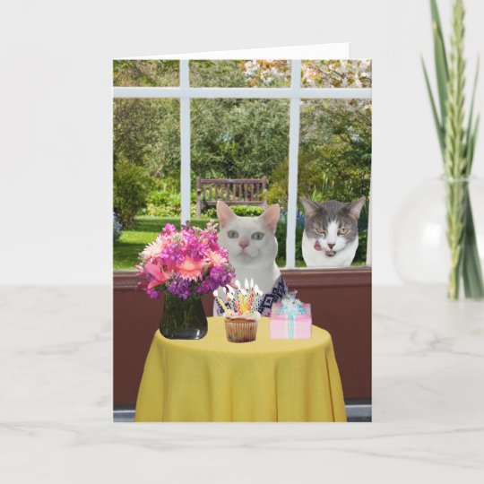 Carte Anniversaire Femelle De Photobomb De Joli Chat Zazzle Fr