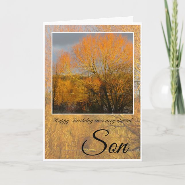 Carte Anniversaire, Fils Spécial, Arbres D'Hiver Ensolei (Devant)