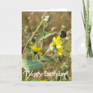 Carte Anniversaire fleur sauvage