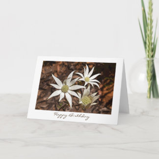 Carte Anniversaire - Fleurs Flannel