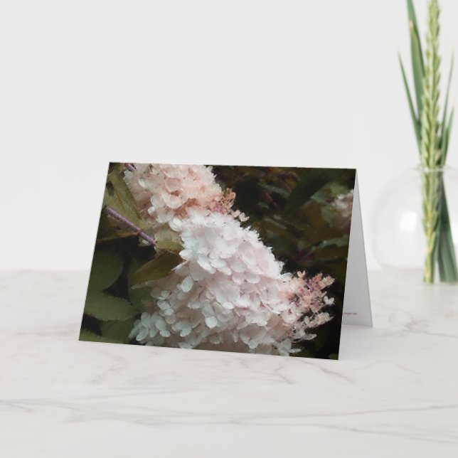 Carte Anniversaire Floral d'Hydrangeas (Devant)