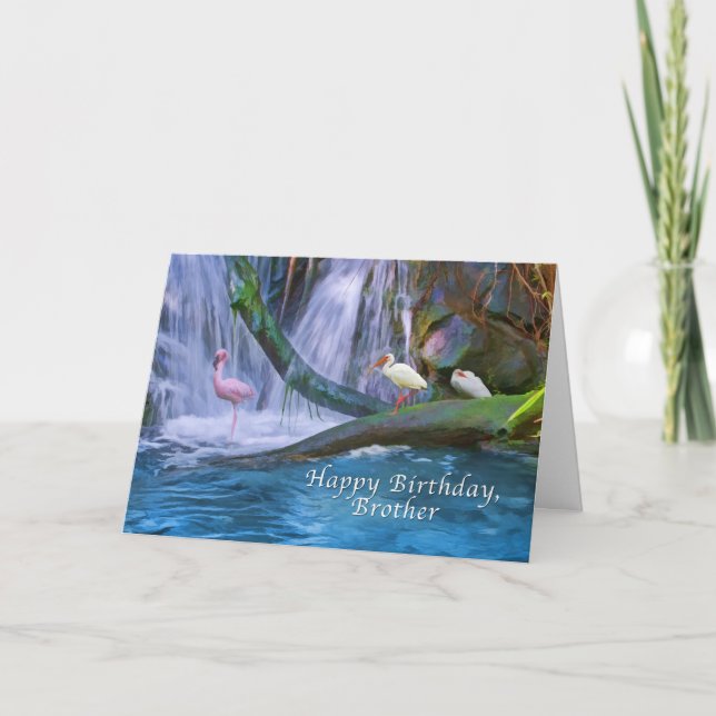 Carte Anniversaire, Frère, Cascade tropicale, Oiseaux (Devant)