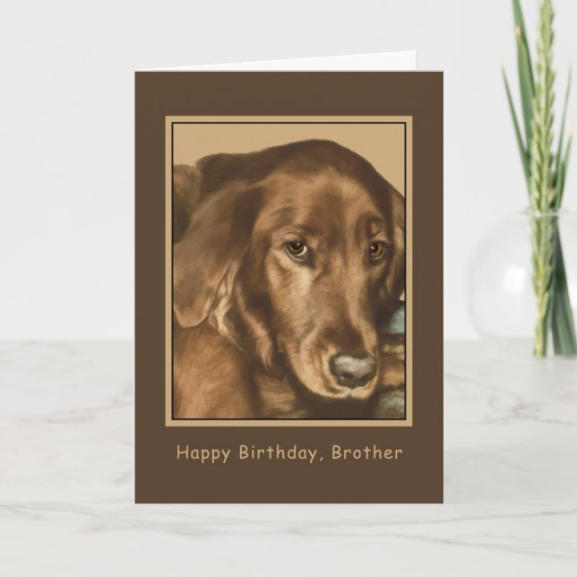Carte Anniversaire, Frère, Chien d'Irlande d'or (Devant)