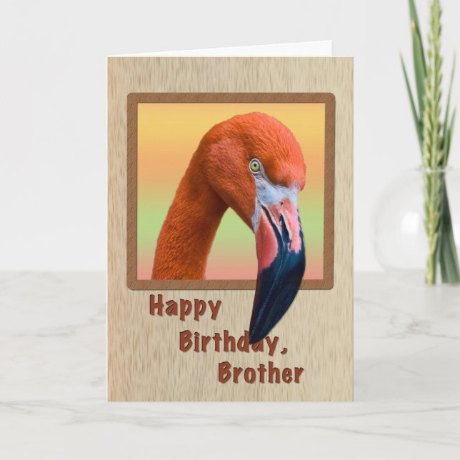 Carte Anniversaire, frère, Flamant rose Bird (Devant)
