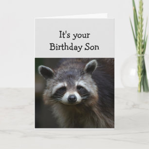 Carte Anniversaire Fun Age Humour Sad Raccoon Humour Car