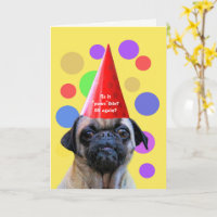 Anniversaire Funny 29 encore avec mignon chien