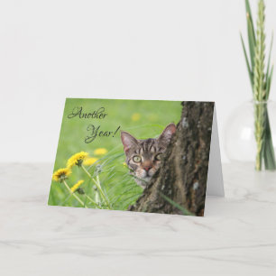Carte Anniversaire Funny Cat Tabby Personnaliser naturel