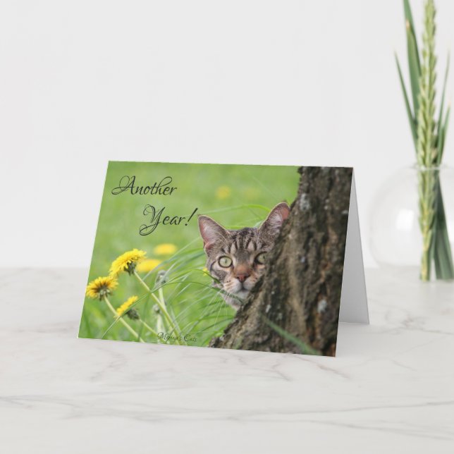 Carte Anniversaire Funny Cat Tabby Personnaliser naturel (Devant)