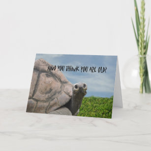 Cartes Tortue D Anniversaire Zazzle Fr