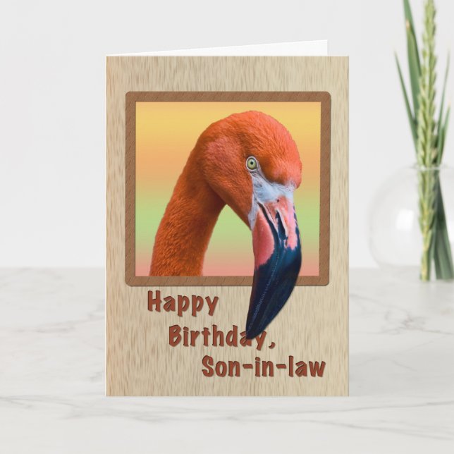 Carte Anniversaire, gendre, Flamant rose Bird (Devant)