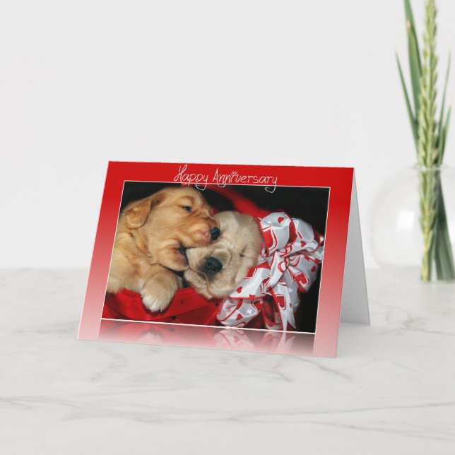 Carte Anniversaire Golden Retriever (Devant)