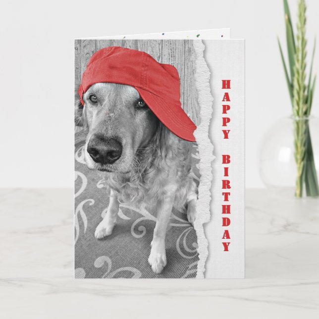 Carte Anniversaire Golden Retriever avec Casquette rouge (Devant)