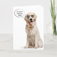 Anniversaire Golden Retriever avec lunettes de sol