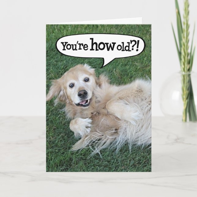 Carte Anniversaire Golden Retriever Choquée (Devant)