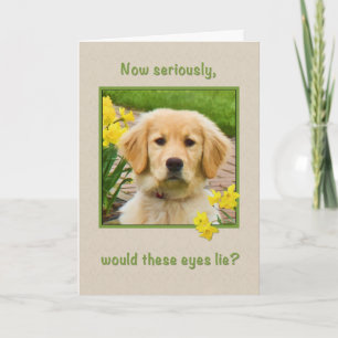 Carte Anniversaire, Golden Retriever Dog, Daffodique