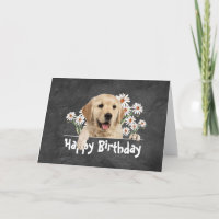 Anniversaire Golden Retriever en cuir