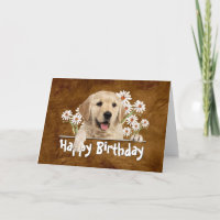 Anniversaire Golden Retriever en Cuir Brown